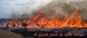 fire crops