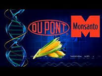 Monsanto Dupont