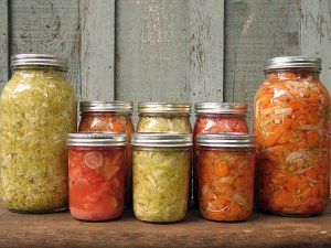 3fermentados
