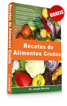 alimentos-crudos-ebook