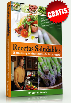 recetas-saludables-book
